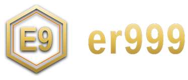 er999 logo